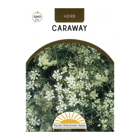 Pacific Northwest Seeds - Caraway
