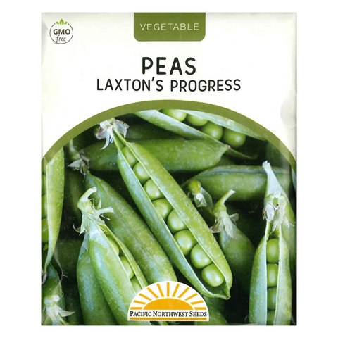 Pacific Northwest Seeds - Peas 4x5 - Laxton's Progress