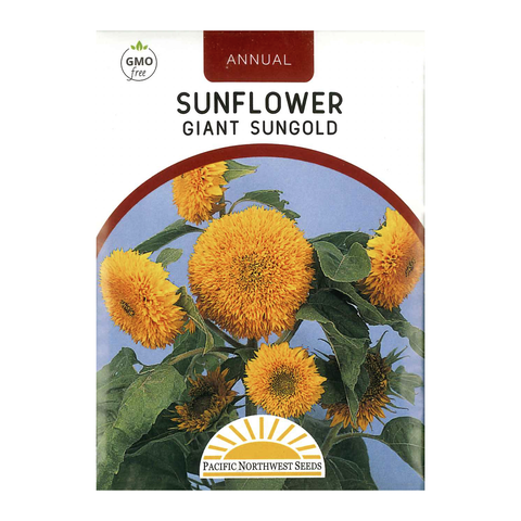 Pacific Northwest Seeds - Sunflower - Giant Sungold