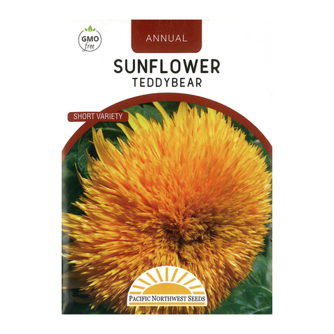 Pacific Northwest Seeds - Sunflower - Teddybear
